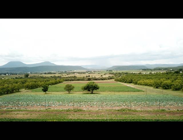 31HA FARM FOR SALE IN WEENEN